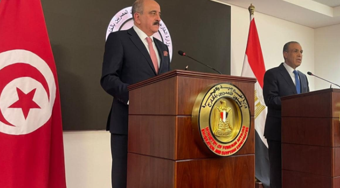 فحوى لقاء وزير الخارجية مع نظيره المصري 